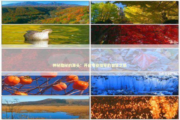 神秘隐秘的源头：开启专业指导的智慧之旅