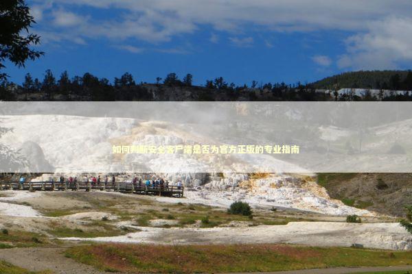 如何判断安全客户端是否为官方正版的专业指南 IT技术