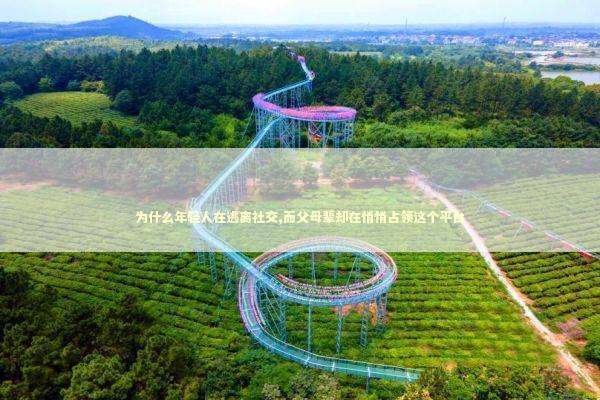 为什么年轻人在逃离社交,而父母辈却在悄悄占领这个平台