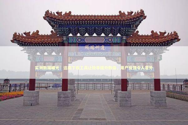 实测数据曝光：这类下载工具让效率提升数倍，用户反馈令人意外 IT技术