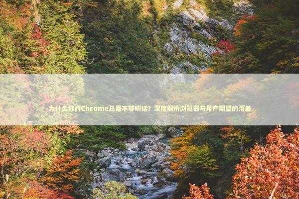 为什么你的Chrome总是不够听话?深度解析浏览器与用户期望的落差 为什么你的Chrome总是不够听话?深度解析浏览器与用户期望的落差 IT技术
